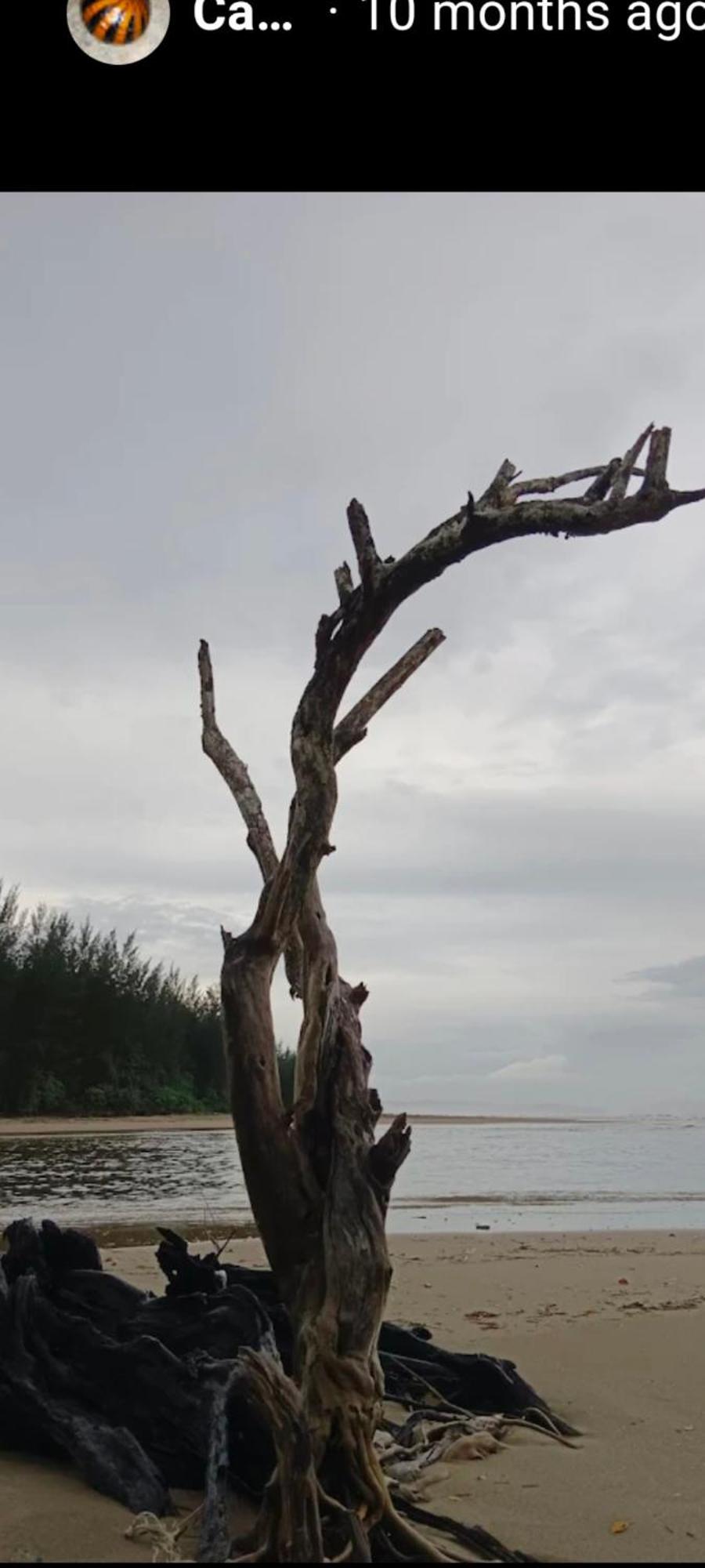 The Mangrove Villa Sematan Exterior photo